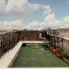 Photo 4: terrace