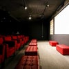 Photo 7: Private cinema