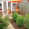 Photo 4: ST ANDREWS COURT GARDEN