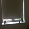 Photo 9: Window/Blind