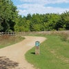 Photo 8: Bedfont Lakes Country Park