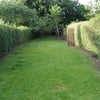 Photo 9: Exclusive Mature Garden with Apple and Cherry Trees, Patio Furniture and Bicycle Stand