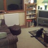 Photo 7: front room and cat