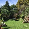 Photo 7: Garden