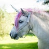 Photograph of Mhairi