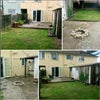 Photo 6: Garden