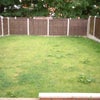 Photo 6: Garden