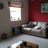 Photo 4: Living room