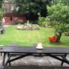 Photo 3: Garden