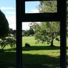 Photo 7: VIEW FROM LIVING AREA