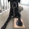 Photo 8: Luna with my book - Lunakita