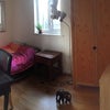 Photo 6: Solid wood furniture. 