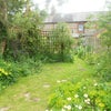 Photo 3: The garden