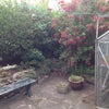 Photo 5: Rear garden
