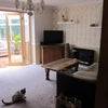 Photo 4: Spacious lounge opens out to conservatory (and Pecan the cat)