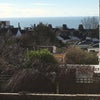 Photo 3: view from bedroom window