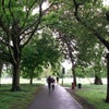 Photo 8: walking distance to Clapham Common