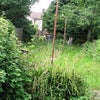 Photo 2: Garden