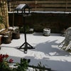 Photo 8: Patio garden in winter