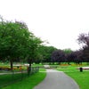 Photo 7: Lampton Park 200 meters away