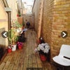 Photo 8: Our Yard