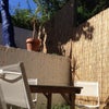 Photo 4: Garden