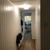 Photo 3: Hall
