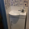 Photo 7: sink&toilet in wet room