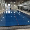 Photo 4: swimming pool