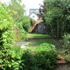 Photo 2: Back Garden