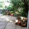 Photo 4: Patio