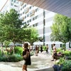 Photo 3: Communal Terrace