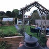 Photo 7: garden