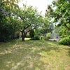 Photo 6: Garden