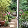 Photo 4: Taken from kitchen door