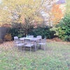 Photo 8: Back garden maintained by our gardener