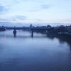 Photo 4: Putney Bridge