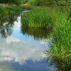 Photo 4: 10 minute walk from house