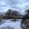 Photo 6: Back garden