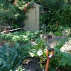 Photo 5: Part of garden