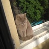 Photo 5: not allowed in the bedroom