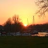 Photo 5: Christchurch Riverside