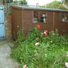 Photo 7: Garden 