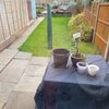 Photo 9: Garden