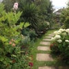 Photo 2: Garden