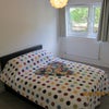 Photo 1: Bright room, Quiet leafy outlook, set away from road noise