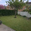 Photo 2: Garden
