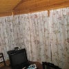 Photo 5: main room