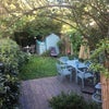 Photo 7: Garden