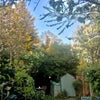 Photo 2: Garden 2
